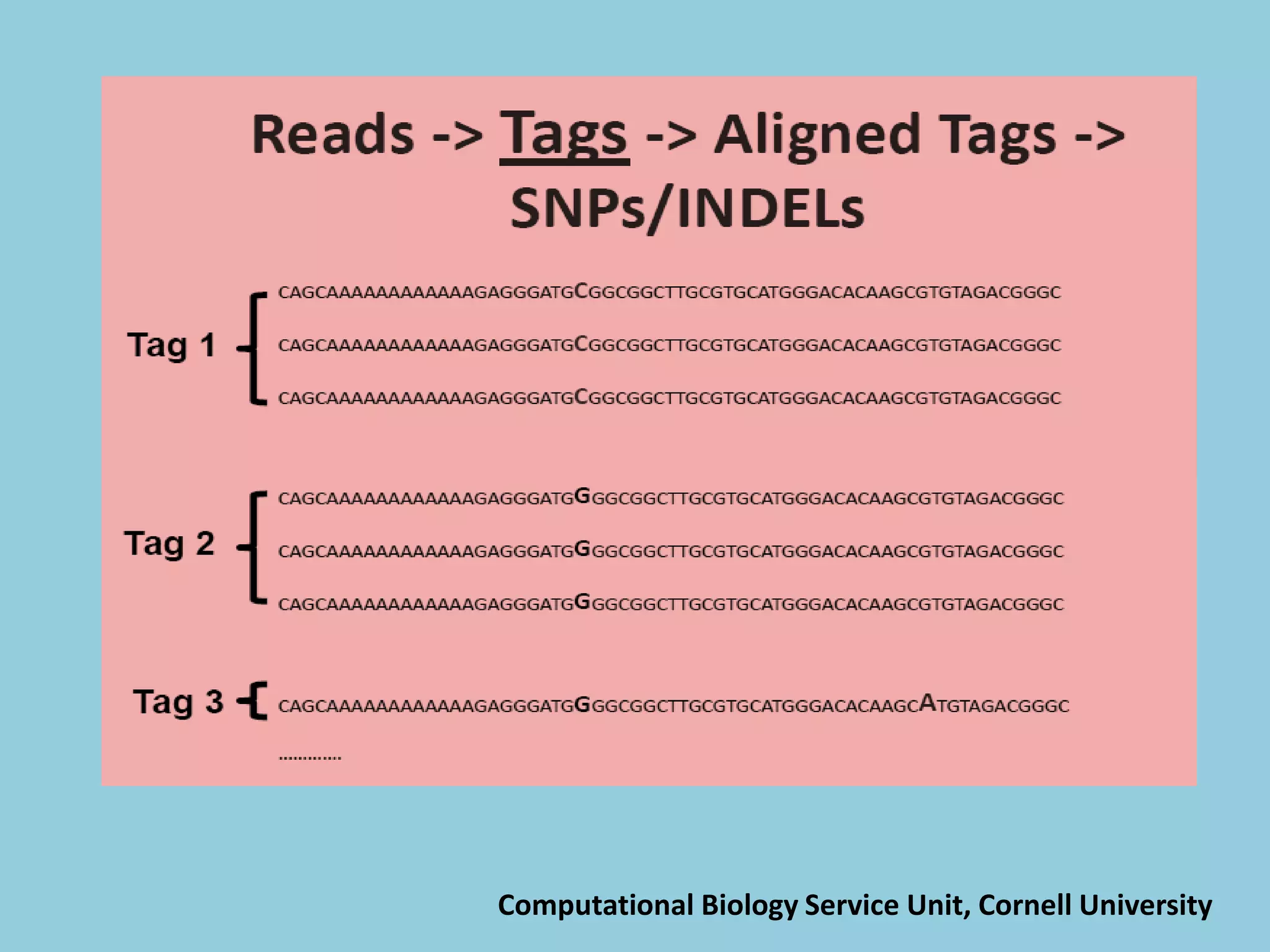 Computational Biology Service Unit, Cornell University
 