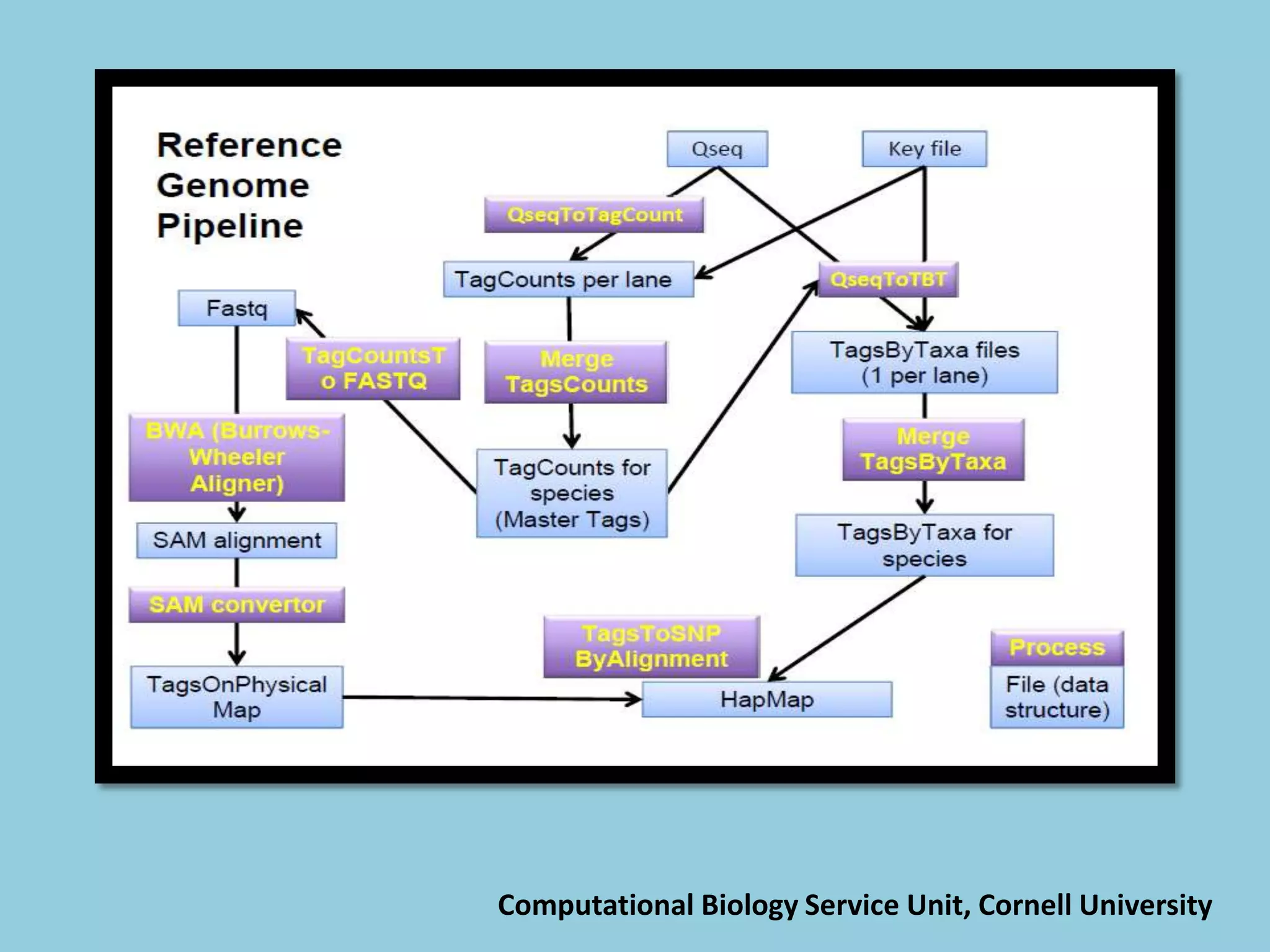 Computational Biology Service Unit, Cornell University
 