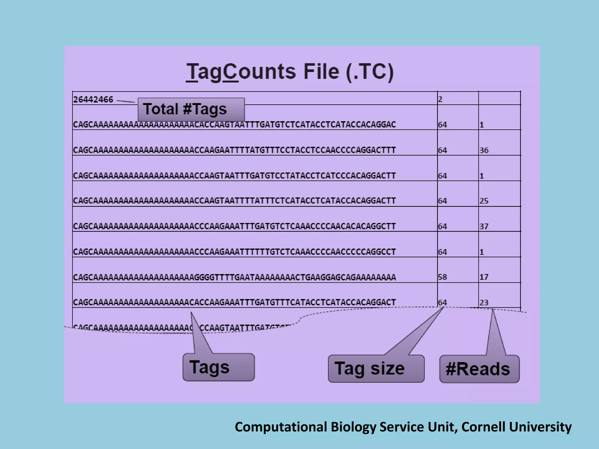 Computational Biology Service Unit, Cornell University
 