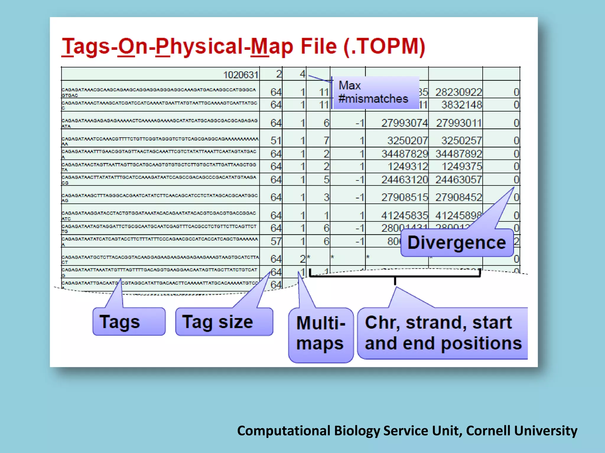 Computational Biology Service Unit, Cornell University
 