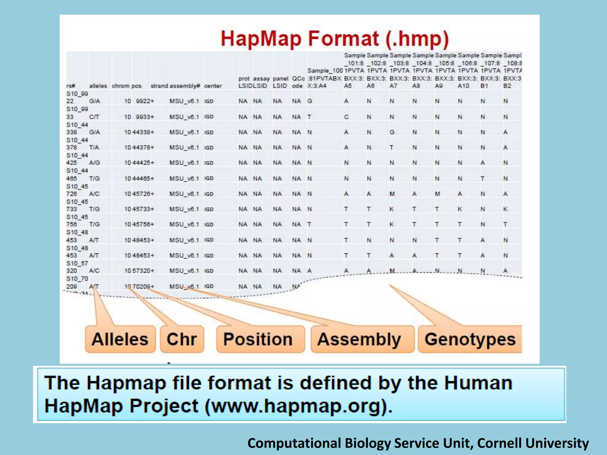 Computational Biology Service Unit, Cornell University
 