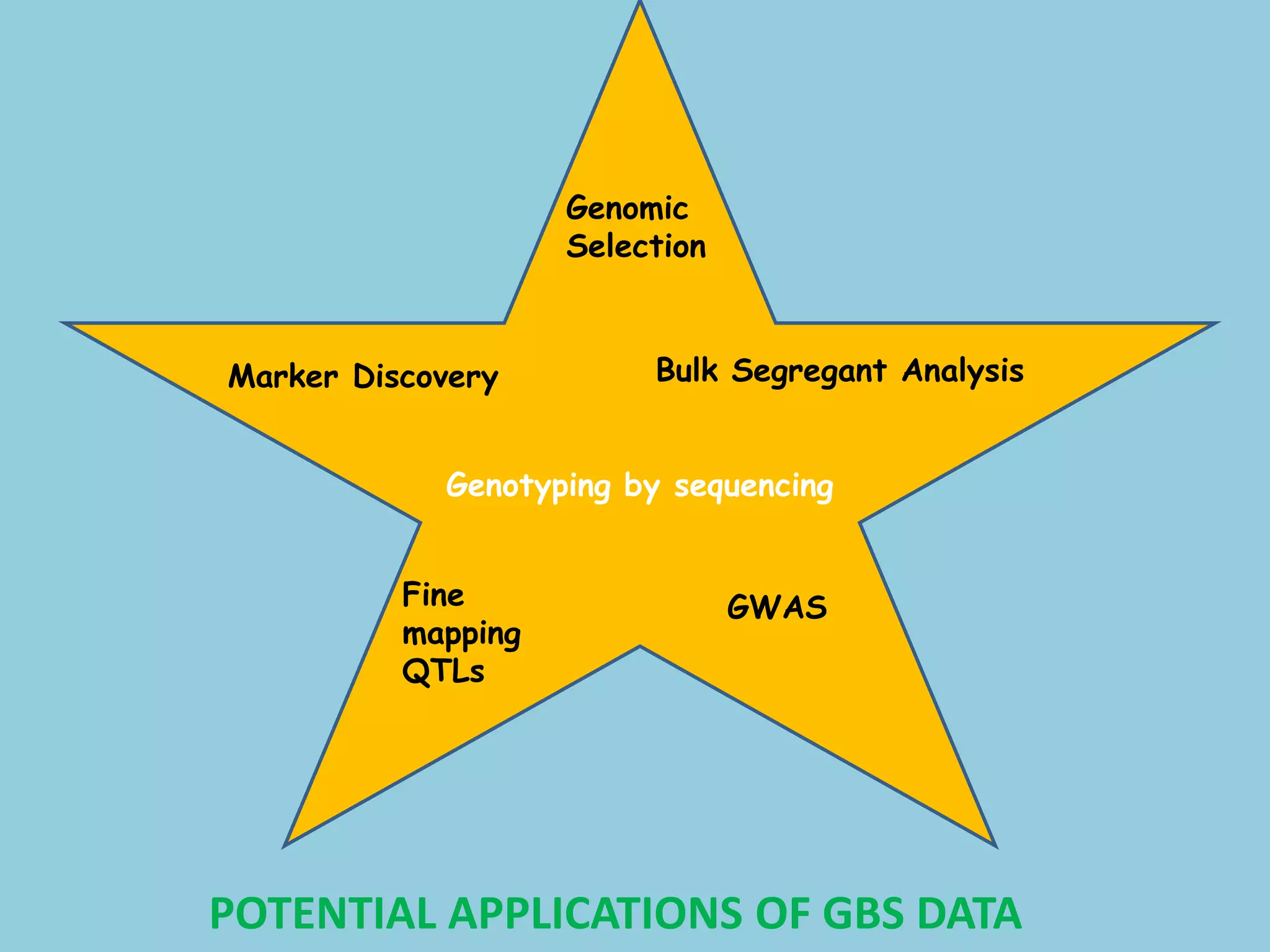 Genotyping by sequencing
Marker Discovery Bulk Segregant Analysis
Fine
mapping
QTLs
Genomic
Selection
GWAS
POTENTIAL APPLICATIONS OF GBS DATA
 