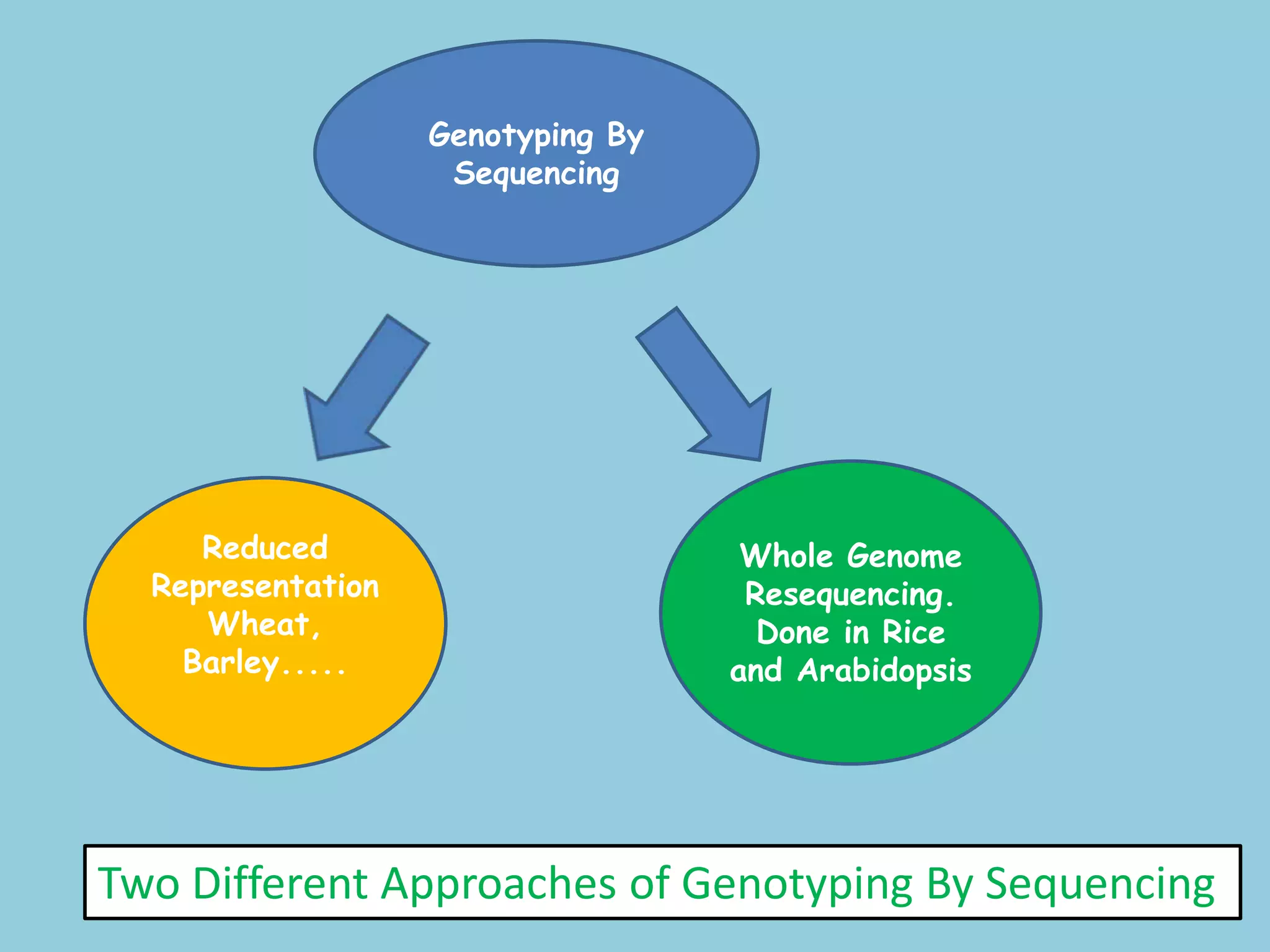 Genotyping By
Sequencing
Reduced
Representation
Wheat,
Barley.....
Whole Genome
Resequencing.
Done in Rice
and Arabidopsis
Two Different Approaches of Genotyping By Sequencing
 