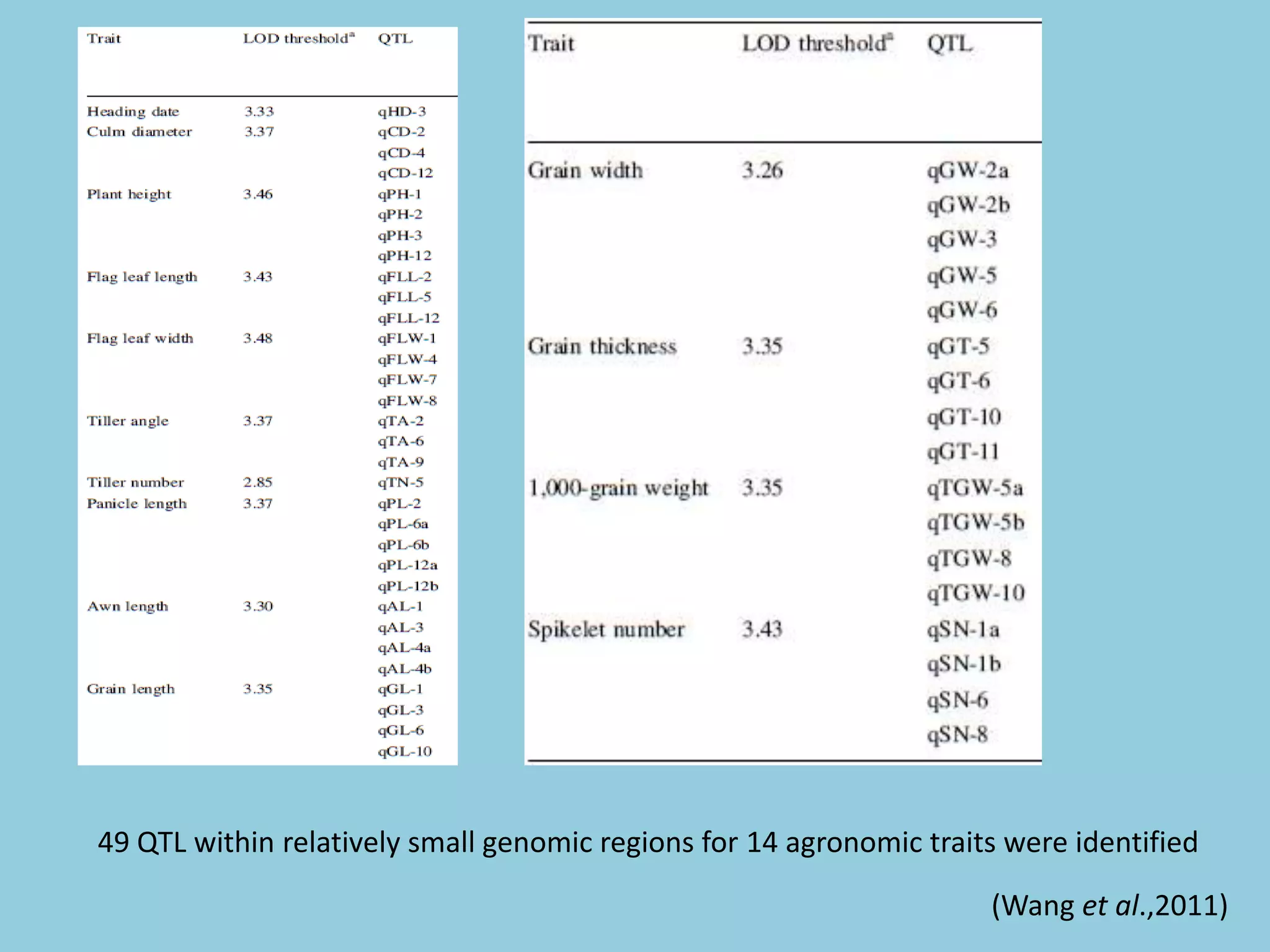 49 QTL within relatively small genomic regions for 14 agronomic traits were identified
(Wang et al.,2011)
 