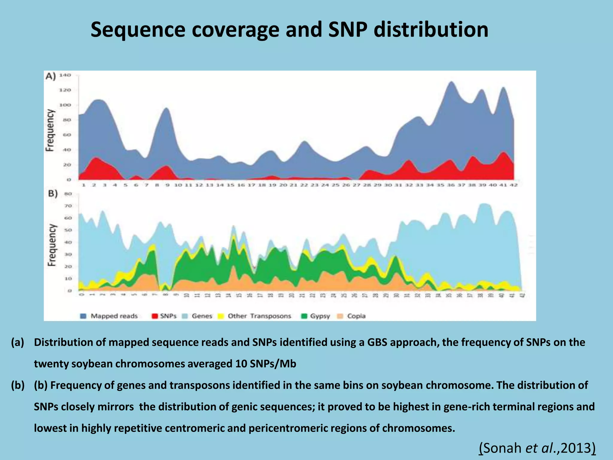 (a) Distribution of mapped sequence reads and SNPs identified using a GBS approach, the frequency of SNPs on the
twenty soybean chromosomes averaged 10 SNPs/Mb
(b) (b) Frequency of genes and transposons identified in the same bins on soybean chromosome. The distribution of
SNPs closely mirrors the distribution of genic sequences; it proved to be highest in gene-rich terminal regions and
lowest in highly repetitive centromeric and pericentromeric regions of chromosomes.
Sequence coverage and SNP distribution
(Sonah et al.,2013)
 