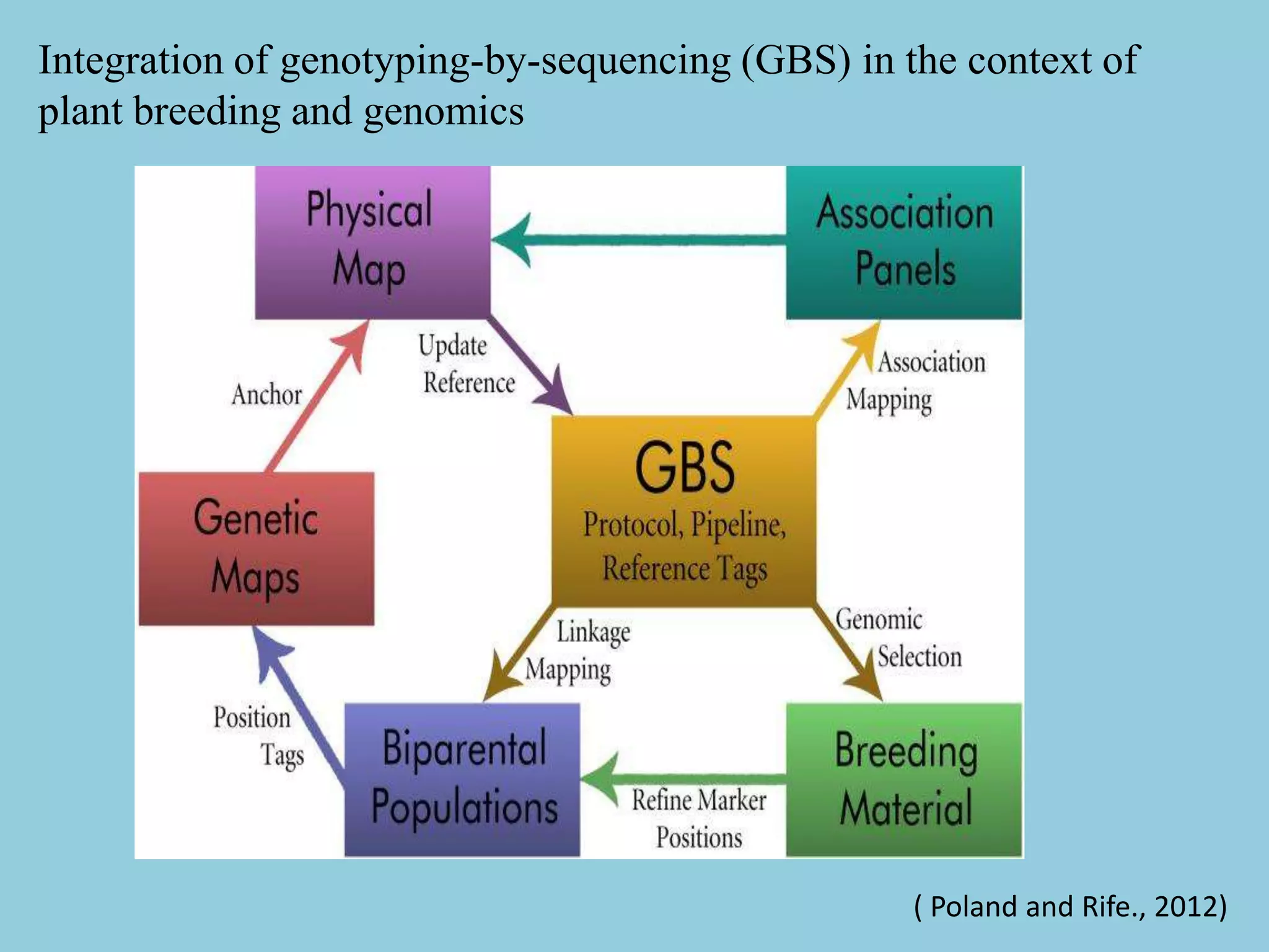 Integration of genotyping-by-sequencing (GBS) in the context of
plant breeding and genomics
( Poland and Rife., 2012)
 