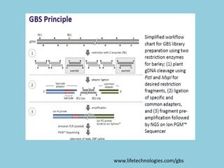 Genotyping by Sequencing | PPTX