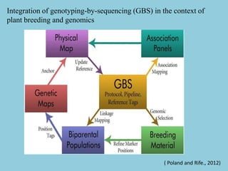 best practices for genotyping analysis of plant and... Genotyping by Sequencing | PPTX