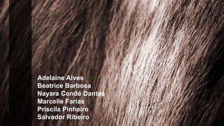 Adelaine Alves
Beatrice Barbosa
Nayara Condé Dantas
Marcelle Farias
Priscila Pinheiro
Salvador Ribeiro
 