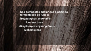 • São compostos adquiridos a partir da
fermentação do fungo:
Streptomyces avermitilis
Avermectinas
Streptomyces cyanogriseus
Milbemicinas
 