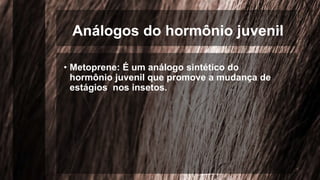 Análogos do hormônio juvenil
• Metoprene: É um análogo sintético do
hormônio juvenil que promove a mudança de
estágios nos insetos.
 