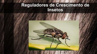 Reguladores de Crescimento de
Insetos
 