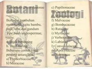 Tumbuhan Dicotyledonae
(Dikotil)
Berbagai tumbuhan
monokotil, yaitu bambu,
padi, tebu dan gandum
Tipe buah angiospermae,
yaitu:
a. Buah berdaging
b. Buah kering
Beberapa contoh yang
penting antara lain:
a) Euphorbiaceae
b) Moraceae
c) Papilionaceae
d) Caesalpiniaceae
e) Mimosaceae
f) Malvaceae
g) Bombacaceae
h) Rutaceae
i) Myrtaceae
j) Verbenaceae
k) Labiatae
l) Convolvulaceae
m) Apocynaceae
n) Rubiaceae
 