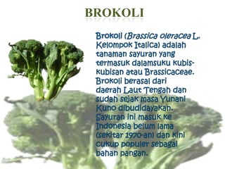 BROKOLI
 