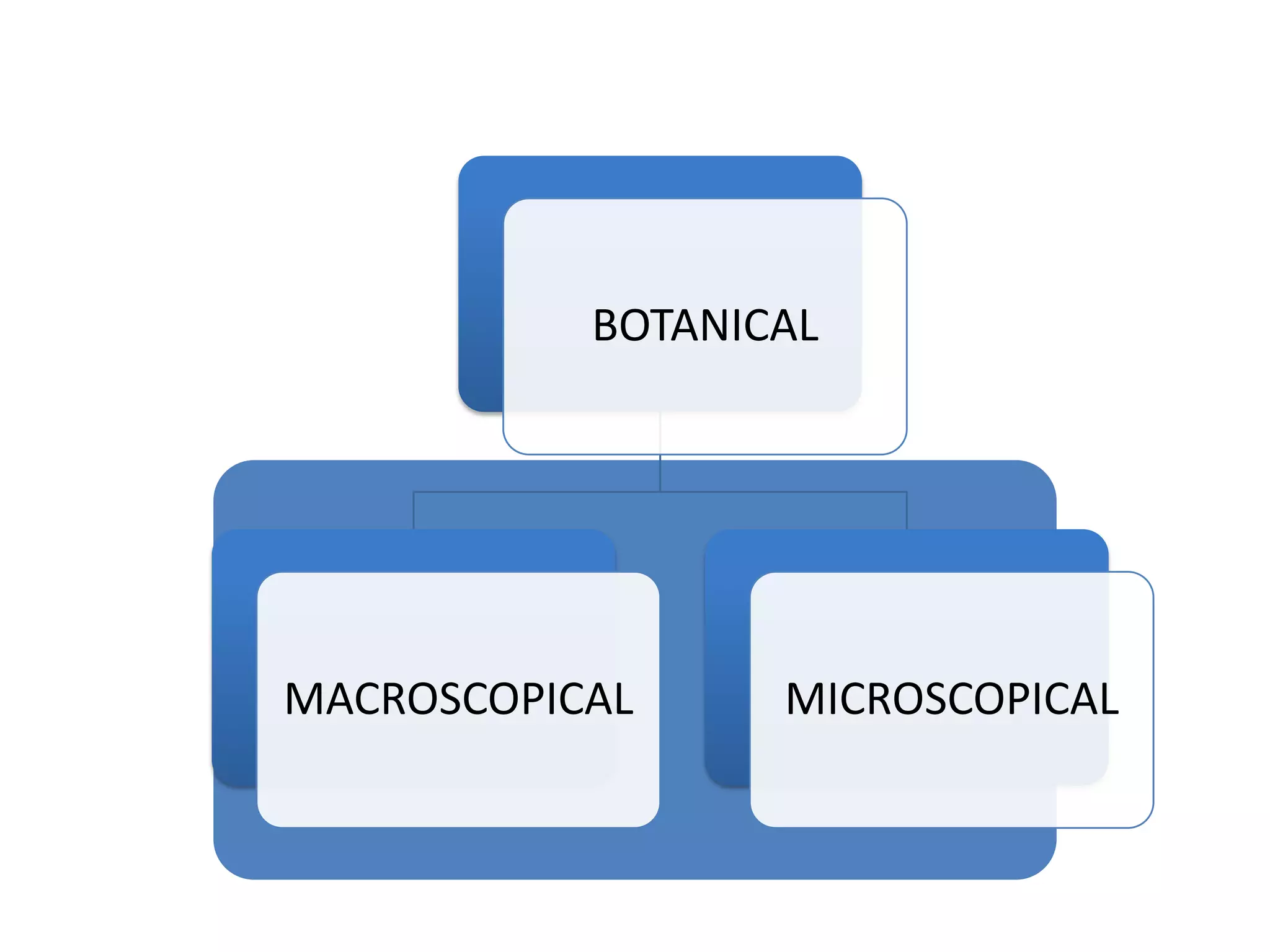 BOTANICAL
MACROSCOPICAL MICROSCOPICAL
 