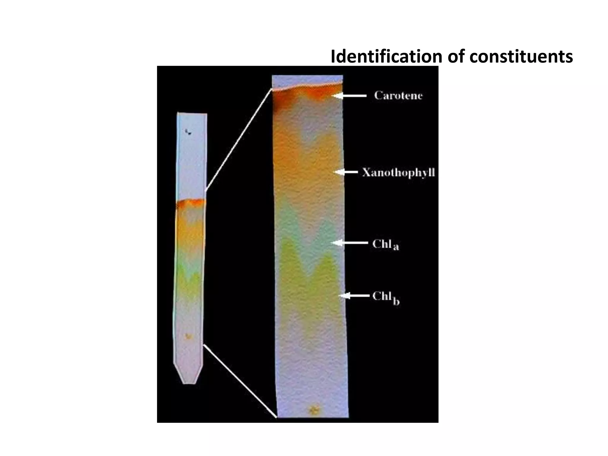 Identification of constituents
 