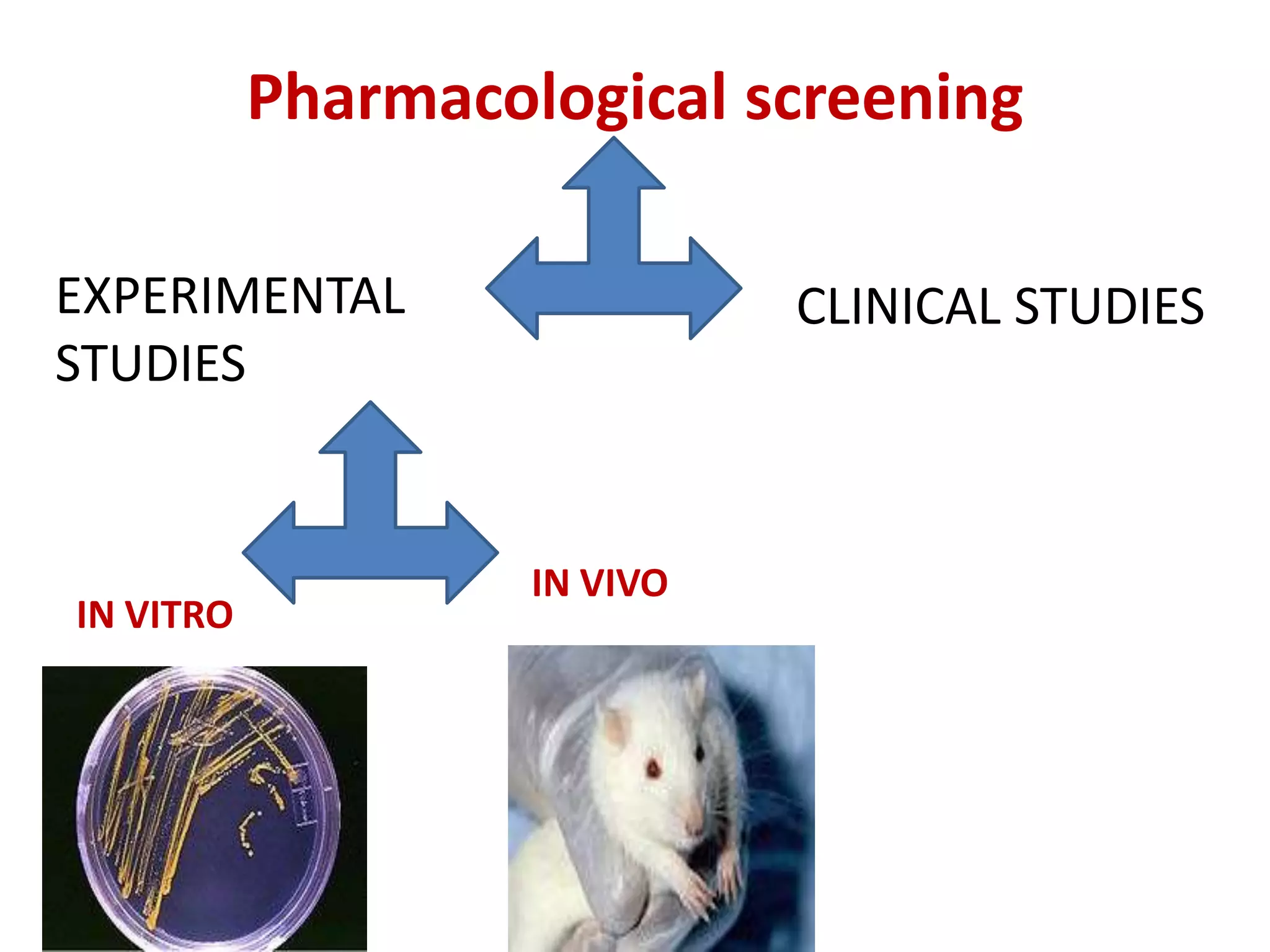 Pharmacological screening
IN VITRO
IN VIVO
EXPERIMENTAL
STUDIES
CLINICAL STUDIES
 