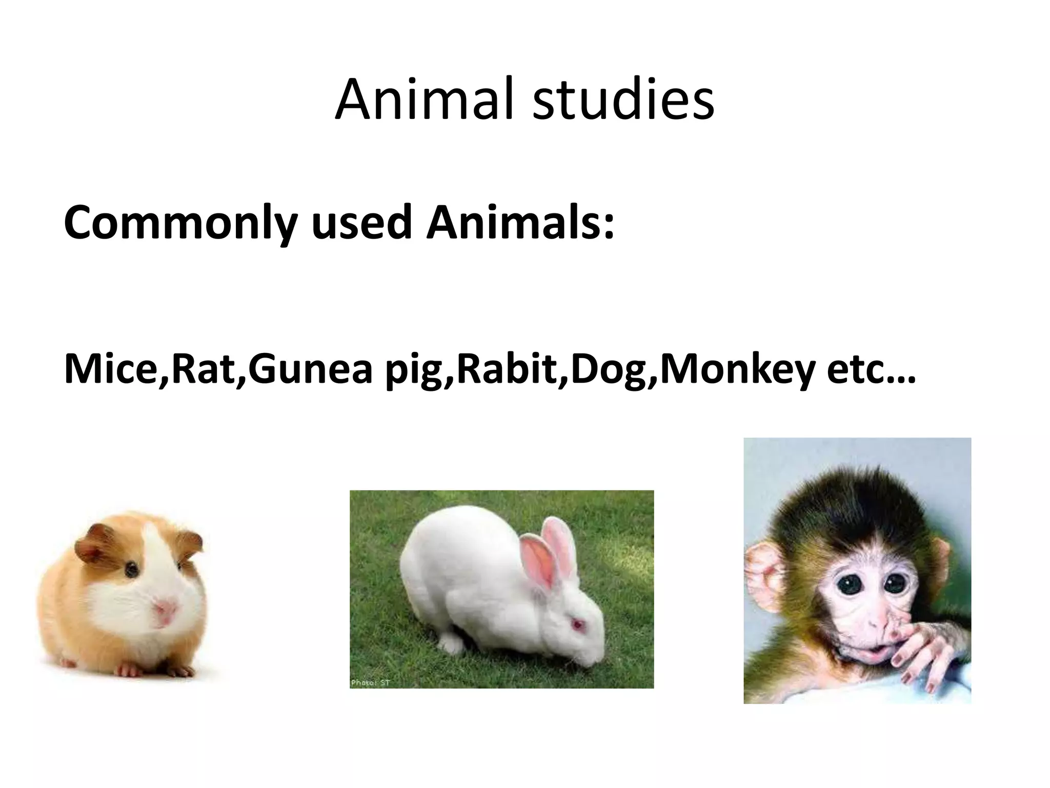 Animal studies
Commonly used Animals:
Mice,Rat,Gunea pig,Rabit,Dog,Monkey etc…
 