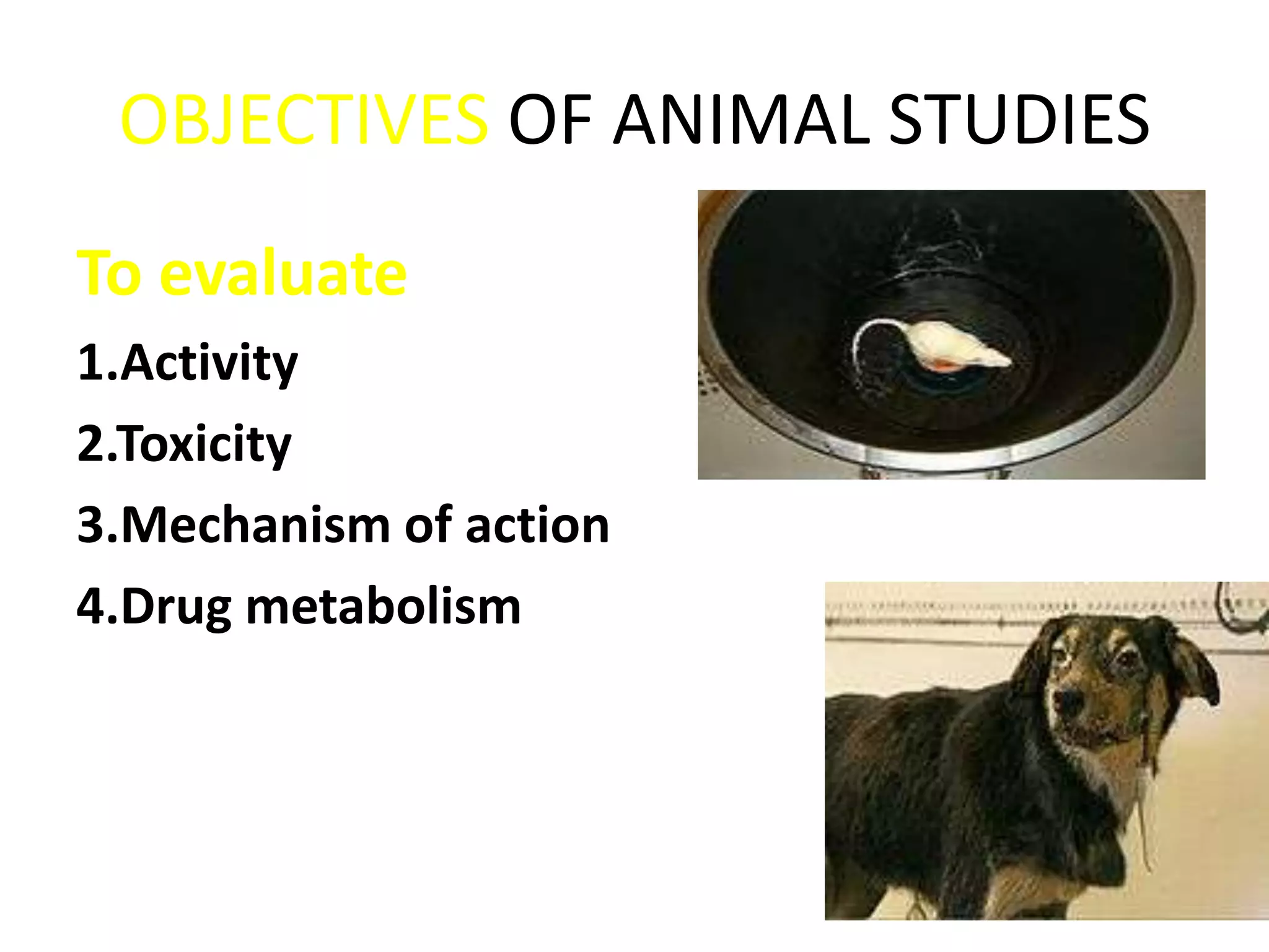 OBJECTIVES OF ANIMAL STUDIES
To evaluate
1.Activity
2.Toxicity
3.Mechanism of action
4.Drug metabolism
 