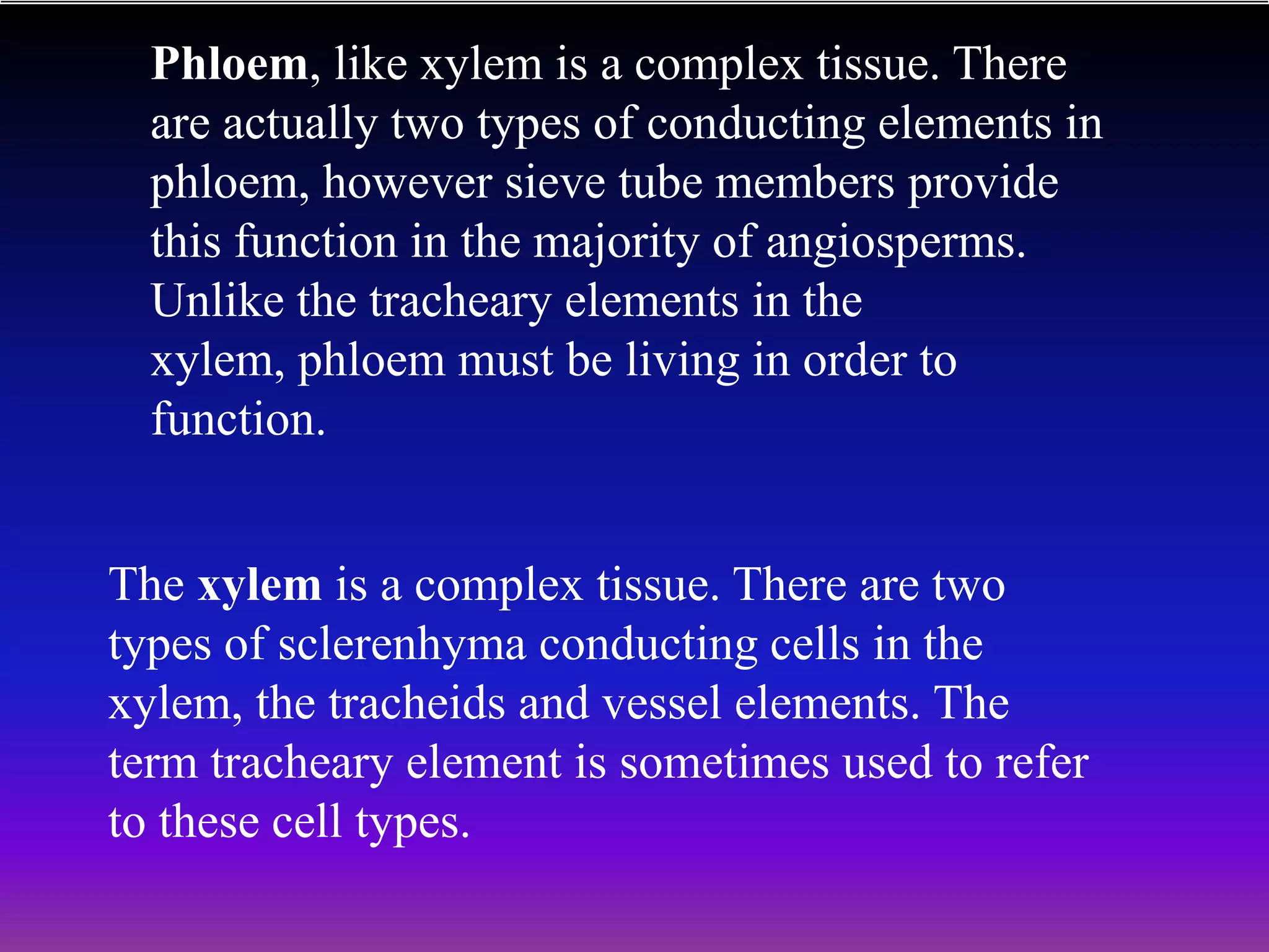 Phloem, like xylem is a complex tissue. There
are actually two types of conducting elements in
phloem, however sieve tube members provide
this function in the majority of angiosperms.
Unlike the tracheary elements in the
xylem, phloem must be living in order to
function.
The xylem is a complex tissue. There are two
types of sclerenhyma conducting cells in the
xylem, the tracheids and vessel elements. The
term tracheary element is sometimes used to refer
to these cell types.
 