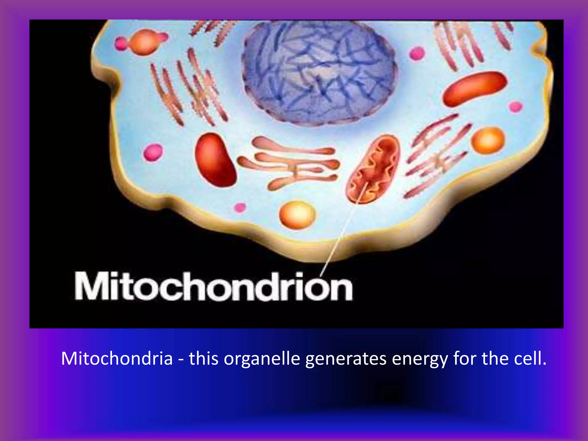 Mitochondria - this organelle generates energy for the cell.
 