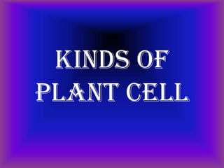 Kinds of
Plant Cell
 