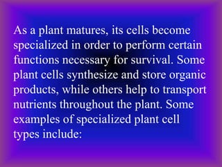 As a plant matures, its cells become
specialized in order to perform certain
functions necessary for survival. Some
plant cells synthesize and store organic
products, while others help to transport
nutrients throughout the plant. Some
examples of specialized plant cell
types include:
 