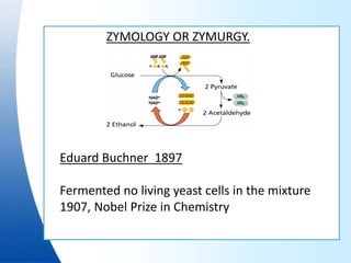 ZYMOLOGY OR ZYMURGY.
Eduard Buchner 1897
Fermented no living yeast cells in the mixture
1907, Nobel Prize in Chemistry
 