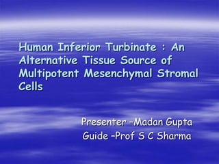 Human Inferior Turbinate : An
Alternative Tissue Source of
Multipotent Mesenchymal Stromal
Cells
Presenter –Madan Gupta
Guide –Prof S C Sharma
 