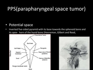 PPS(parapharyngeal space tumor)
• Potential space
• Inverted five-sided pyramid with its base towards the sphenoid bone and
its apex- horn of the hyoid bone (Heeneman, Gilbert and Rood,
 