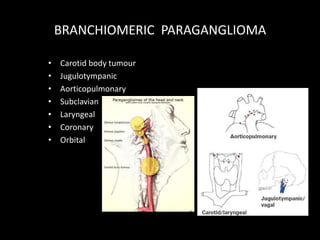 BRANCHIOMERIC PARAGANGLIOMA
• Carotid body tumour
• Jugulotympanic
• Aorticopulmonary
• Subclavian
• Laryngeal
• Coronary
• Orbital
 