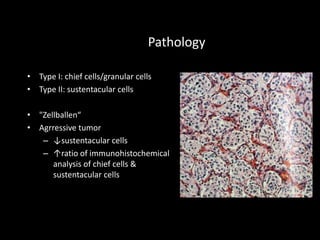Pathology
• Type I: chief cells/granular cells
• Type II: sustentacular cells
• "Zellballen“
• Agrressive tumor
– ↓sustentacular cells
– ↑ratio of immunohistochemical
analysis of chief cells &
sustentacular cells
 