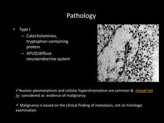 Pathology
• Type I
– Catecholamines,
tryptophan-containing
protein
– APUD/diffuse
neuroendocrine system
Nuclear pleomorphism and cellular hyperchromatism are common & should not
be considered as evidence of malignancy
 Malignancy is based on the clinical finding of metastasis, not on histologic
examination
 