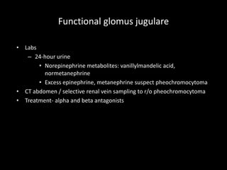 Functional glomus jugulare
• Labs
– 24-hour urine
• Norepinephrine metabolites: vanillylmandelic acid,
normetanephrine
• Excess epinephrine, metanephrine suspect pheochromocytoma
• CT abdomen / selective renal vein sampling to r/o pheochromocytoma
• Treatment- alpha and beta antagonists
 