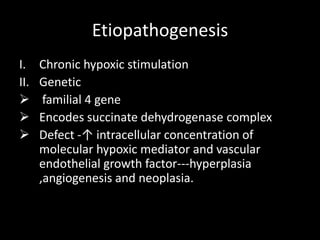 Etiopathogenesis
I. Chronic hypoxic stimulation
II. Genetic
 familial 4 gene
 Encodes succinate dehydrogenase complex
 Defect -↑ intracellular concentration of
molecular hypoxic mediator and vascular
endothelial growth factor---hyperplasia
,angiogenesis and neoplasia.
 
