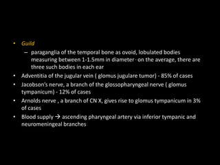 • Guild
– paraganglia of the temporal bone as ovoid, lobulated bodies
measuring between 1-1.5mm in diameter , on the average, there are
three such bodies in each ear
• Adventitia of the jugular vein ( glomus jugulare tumor) - 85% of cases
• Jacobson’s nerve, a branch of the glossopharyngeal nerve ( glomus
tympanicum) - 12% of cases
• Arnolds nerve , a branch of CN X, gives rise to glomus tympanicum in 3%
of cases
• Blood supply  ascending pharyngeal artery via inferior tympanic and
neuromeningeal branches
 