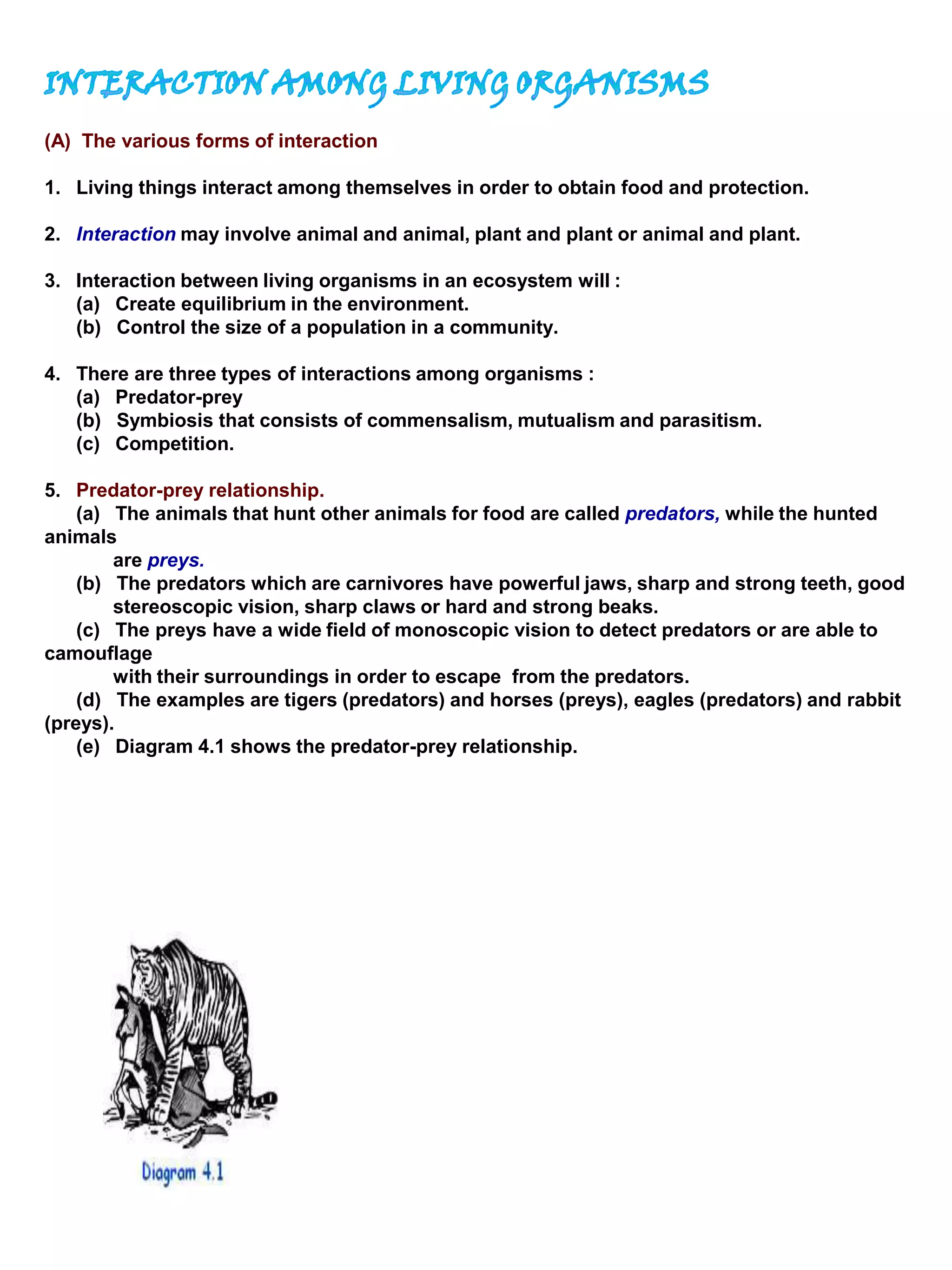 (A) The various forms of interaction
1. Living things interact among themselves in order to obtain food and protection.
2. Interaction may involve animal and animal, plant and plant or animal and plant.
3. Interaction between living organisms in an ecosystem will :
(a) Create equilibrium in the environment.
(b) Control the size of a population in a community.
4. There are three types of interactions among organisms :
(a) Predator-prey
(b) Symbiosis that consists of commensalism, mutualism and parasitism.
(c) Competition.
5. Predator-prey relationship.
(a) The animals that hunt other animals for food are called predators, while the hunted
animals
are preys.
(b) The predators which are carnivores have powerful jaws, sharp and strong teeth, good
stereoscopic vision, sharp claws or hard and strong beaks.
(c) The preys have a wide field of monoscopic vision to detect predators or are able to
camouflage
with their surroundings in order to escape from the predators.
(d) The examples are tigers (predators) and horses (preys), eagles (predators) and rabbit
(preys).
(e) Diagram 4.1 shows the predator-prey relationship.
 