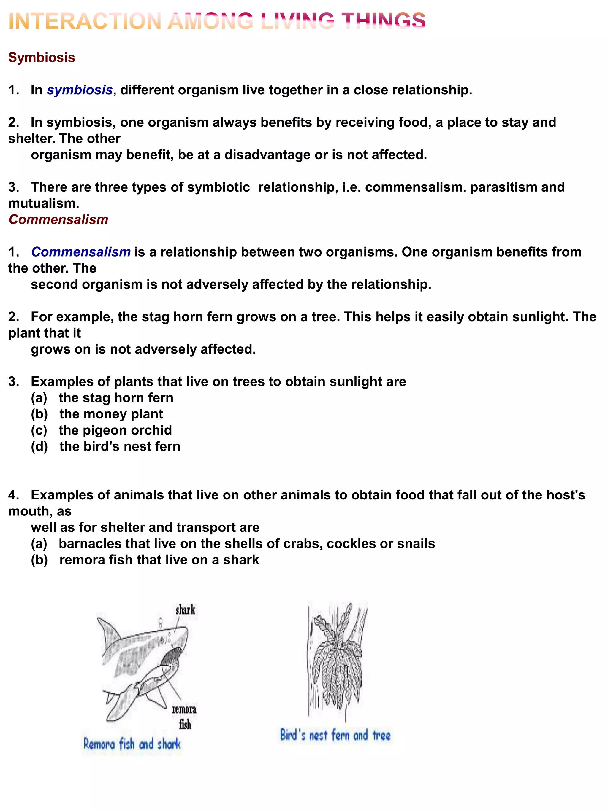 Symbiosis
1. In symbiosis, different organism live together in a close relationship.
2. In symbiosis, one organism always benefits by receiving food, a place to stay and
shelter. The other
organism may benefit, be at a disadvantage or is not affected.
3. There are three types of symbiotic relationship, i.e. commensalism. parasitism and
mutualism.
Commensalism
1. Commensalism is a relationship between two organisms. One organism benefits from
the other. The
second organism is not adversely affected by the relationship.
2. For example, the stag horn fern grows on a tree. This helps it easily obtain sunlight. The
plant that it
grows on is not adversely affected.
3. Examples of plants that live on trees to obtain sunlight are
(a) the stag horn fern
(b) the money plant
(c) the pigeon orchid
(d) the bird's nest fern
4. Examples of animals that live on other animals to obtain food that fall out of the host's
mouth, as
well as for shelter and transport are
(a) barnacles that live on the shells of crabs, cockles or snails
(b) remora fish that live on a shark
 