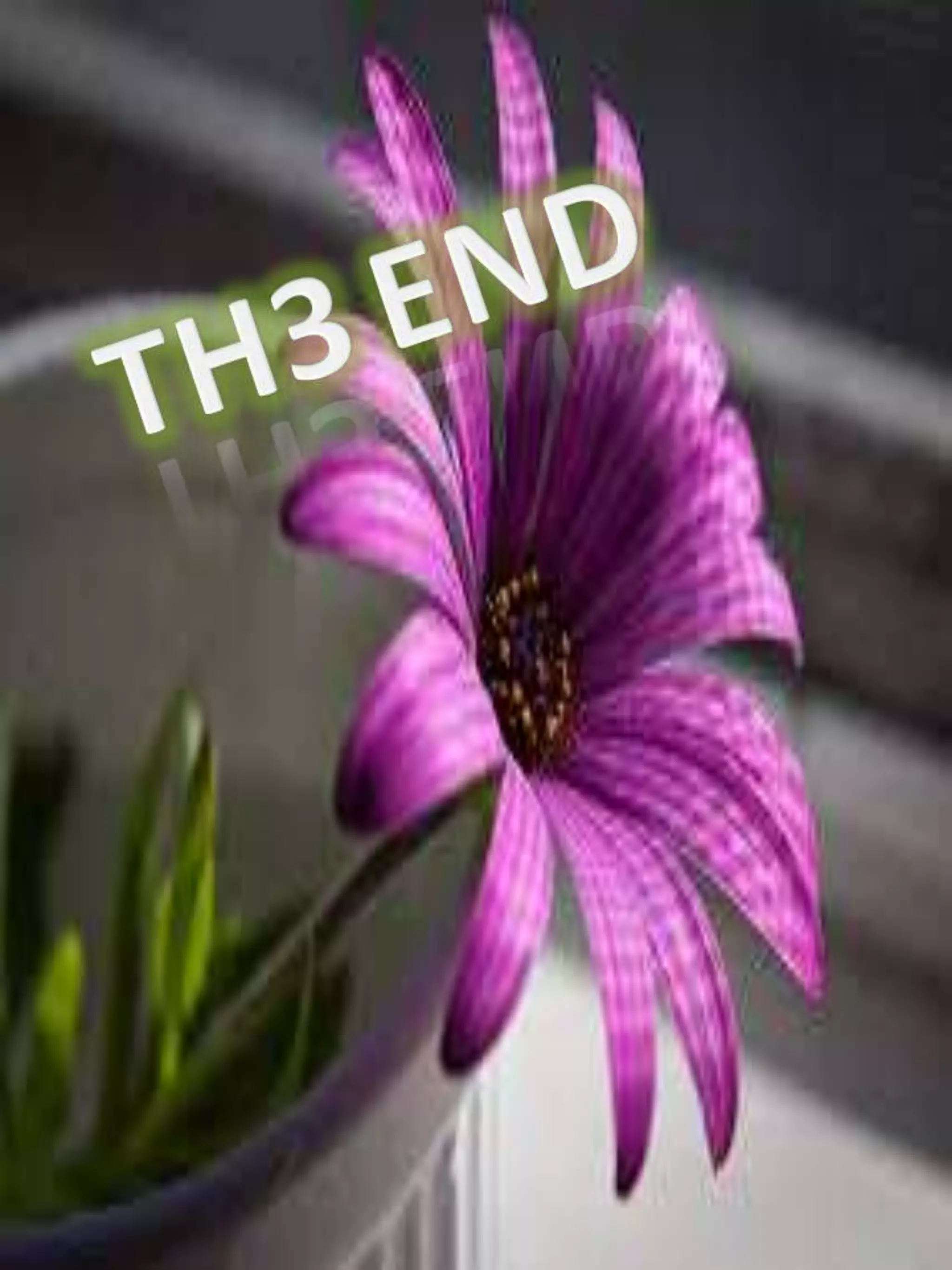 the importance between living organisms and the environment