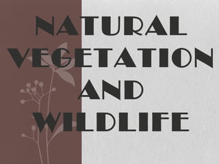 NATURAL
VEGETATION
AND
WILDLIFE
 