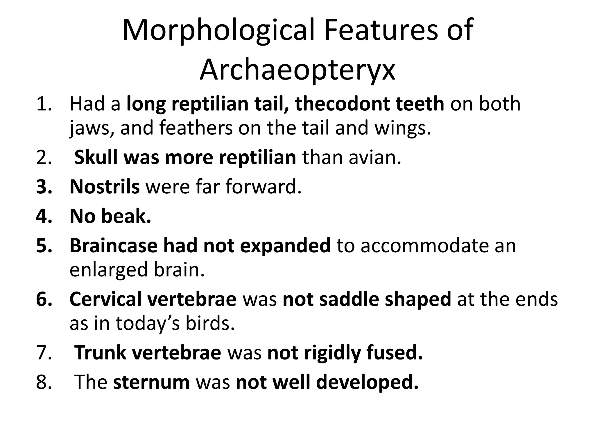 Morphological Features of
Archaeopteryx
1. Had a long reptilian tail, thecodont teeth on both
jaws, and feathers on the tail and wings.
2. Skull was more reptilian than avian.
3. Nostrils were far forward.
4. No beak.
5. Braincase had not expanded to accommodate an
enlarged brain.
6. Cervical vertebrae was not saddle shaped at the ends
as in today’s birds.
7. Trunk vertebrae was not rigidly fused.
8. The sternum was not well developed.
 