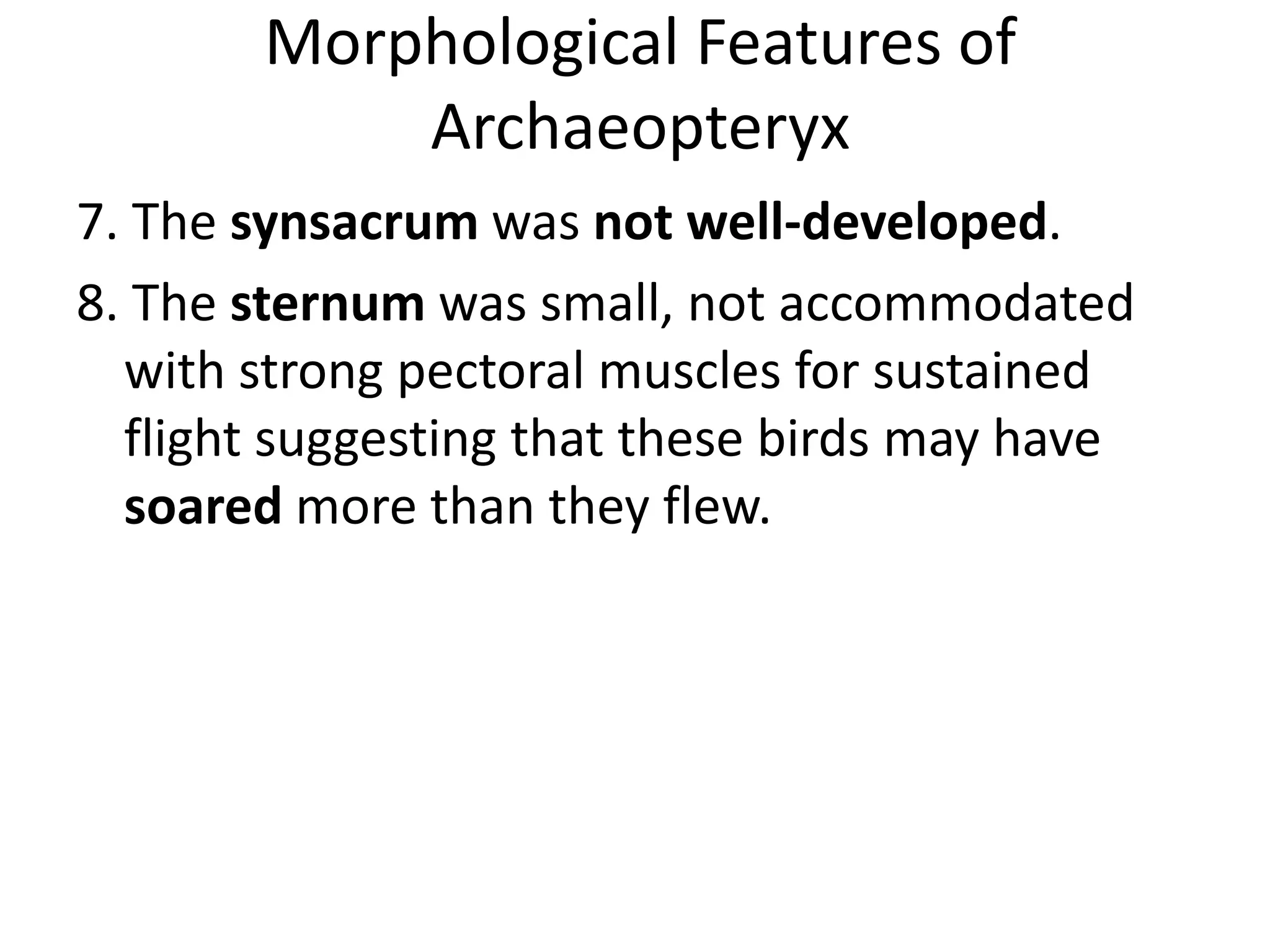 Morphological Features of
Archaeopteryx
7. The synsacrum was not well-developed.
8. The sternum was small, not accommodated
with strong pectoral muscles for sustained
flight suggesting that these birds may have
soared more than they flew.
 