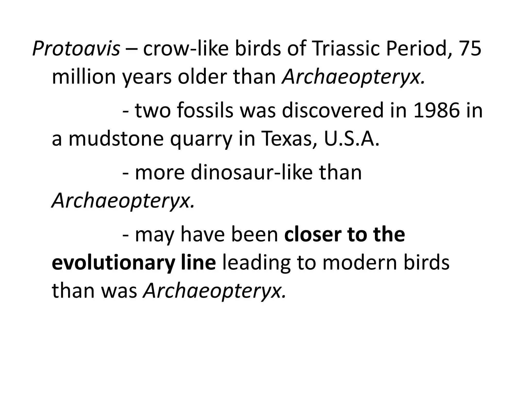 Protoavis – crow-like birds of Triassic Period, 75
million years older than Archaeopteryx.
- two fossils was discovered in 1986 in
a mudstone quarry in Texas, U.S.A.
- more dinosaur-like than
Archaeopteryx.
- may have been closer to the
evolutionary line leading to modern birds
than was Archaeopteryx.
 