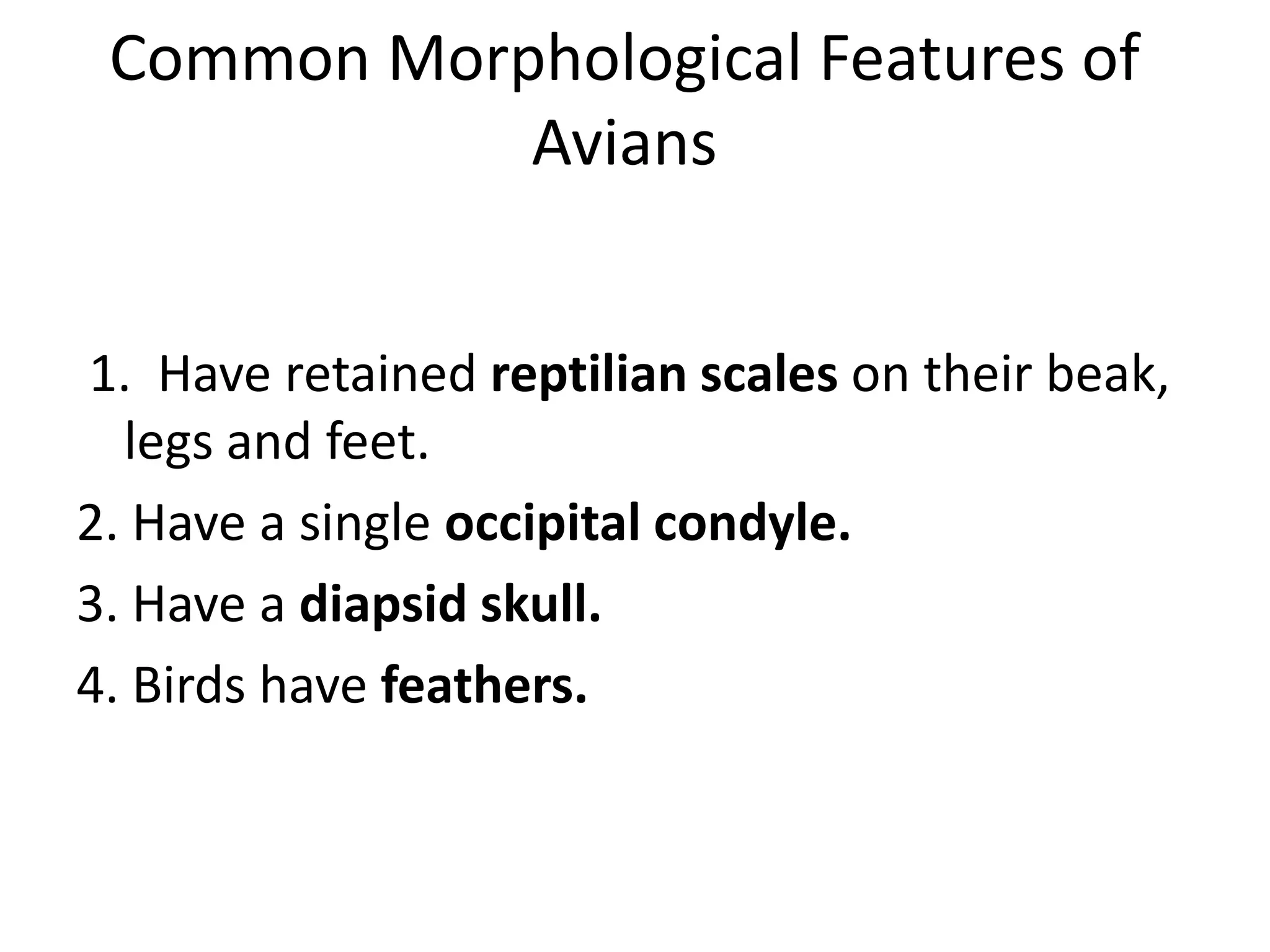 Common Morphological Features of
Avians
1. Have retained reptilian scales on their beak,
legs and feet.
2. Have a single occipital condyle.
3. Have a diapsid skull.
4. Birds have feathers.
 
