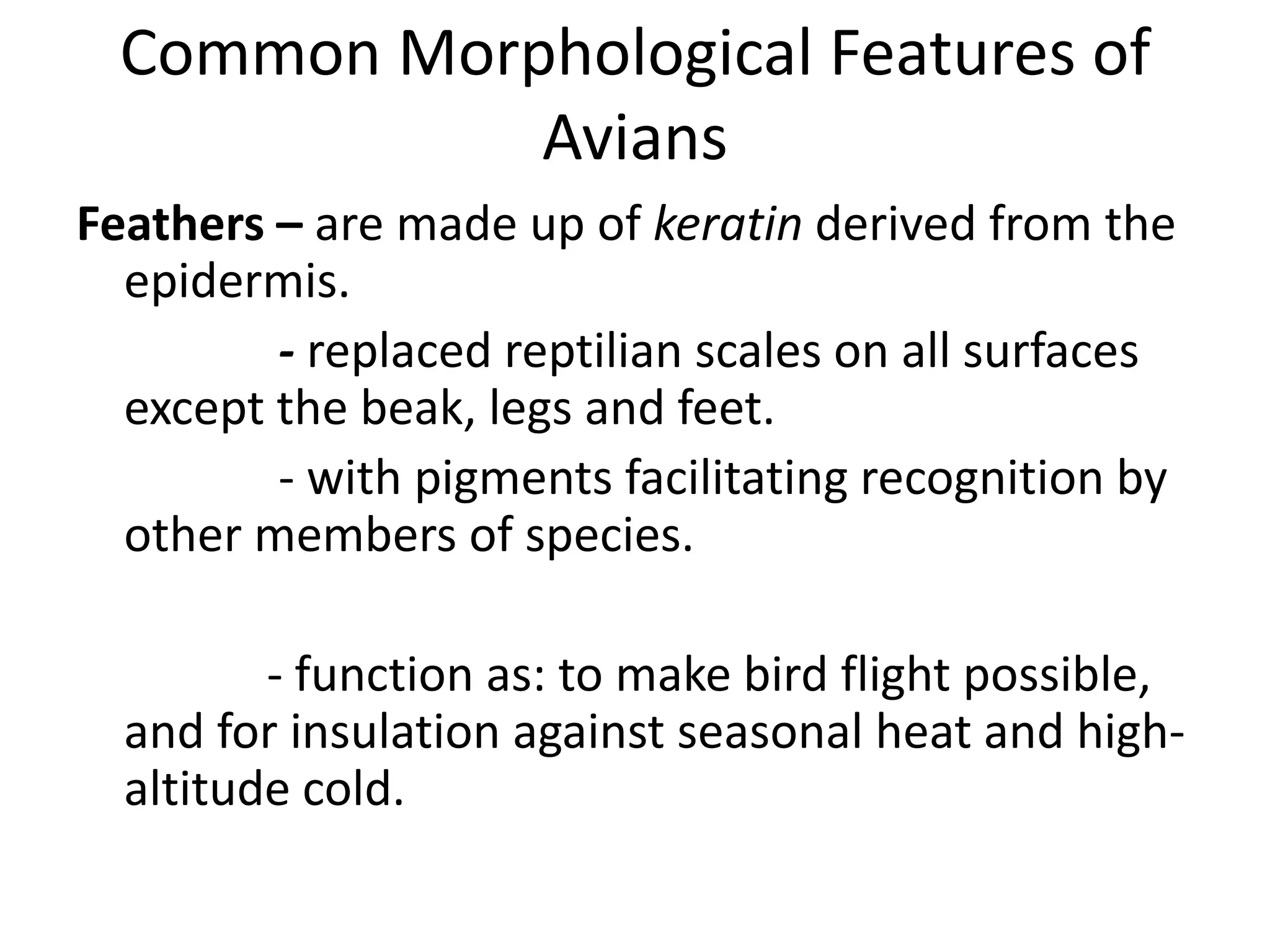 Common Morphological Features of
Avians
Feathers – are made up of keratin derived from the
epidermis.
- replaced reptilian scales on all surfaces
except the beak, legs and feet.
- with pigments facilitating recognition by
other members of species.
- function as: to make bird flight possible,
and for insulation against seasonal heat and high-
altitude cold.
 