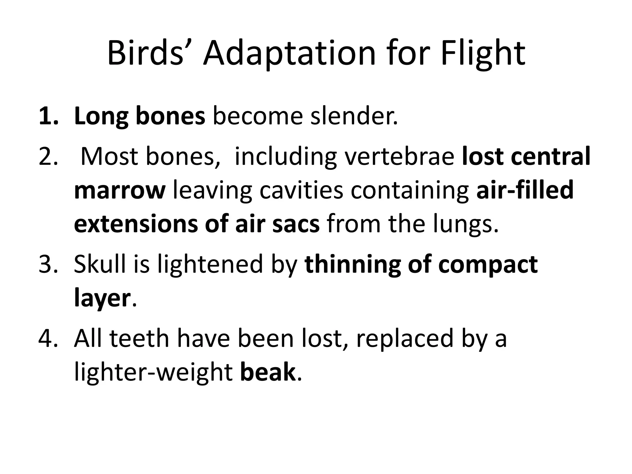 Birds’ Adaptation for Flight
1. Long bones become slender.
2. Most bones, including vertebrae lost central
marrow leaving cavities containing air-filled
extensions of air sacs from the lungs.
3. Skull is lightened by thinning of compact
layer.
4. All teeth have been lost, replaced by a
lighter-weight beak.
 