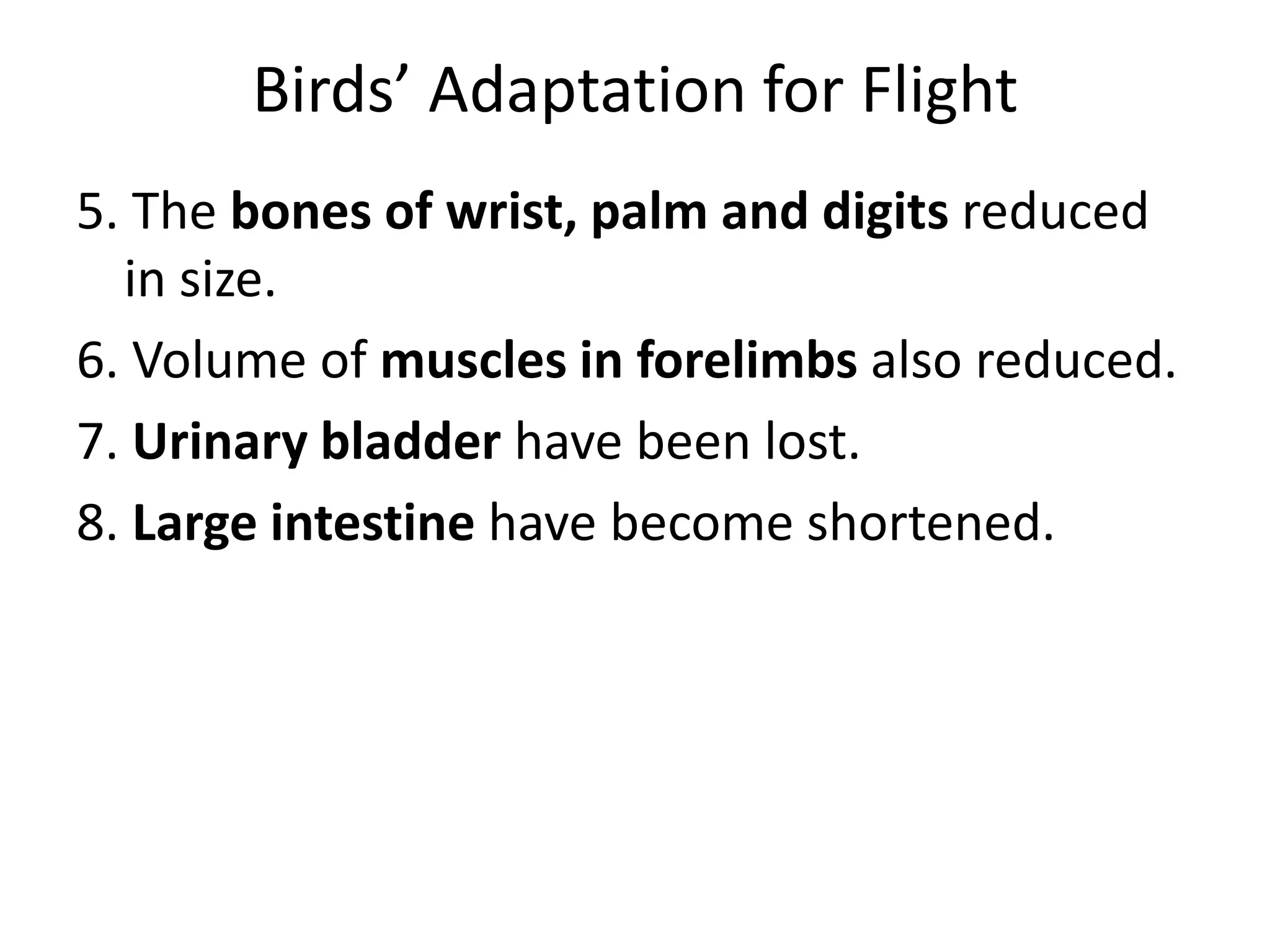 Birds’ Adaptation for Flight
5. The bones of wrist, palm and digits reduced
in size.
6. Volume of muscles in forelimbs also reduced.
7. Urinary bladder have been lost.
8. Large intestine have become shortened.
 