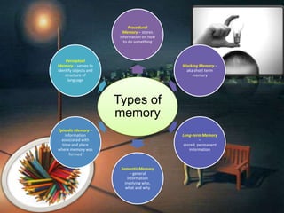 Types of
memory
Procedural
Memory – stores
information on how
to do something
Working Memory –
aka short term
memory
Long-term Memory
–
stored, permanent
information
Semantic Memory
– general
information
involving who,
what and why
Episodic Memory –
information
associated with
time and place
where memory was
formed
Perceptual
Memory – serves to
identify objects and
structure of
language
 