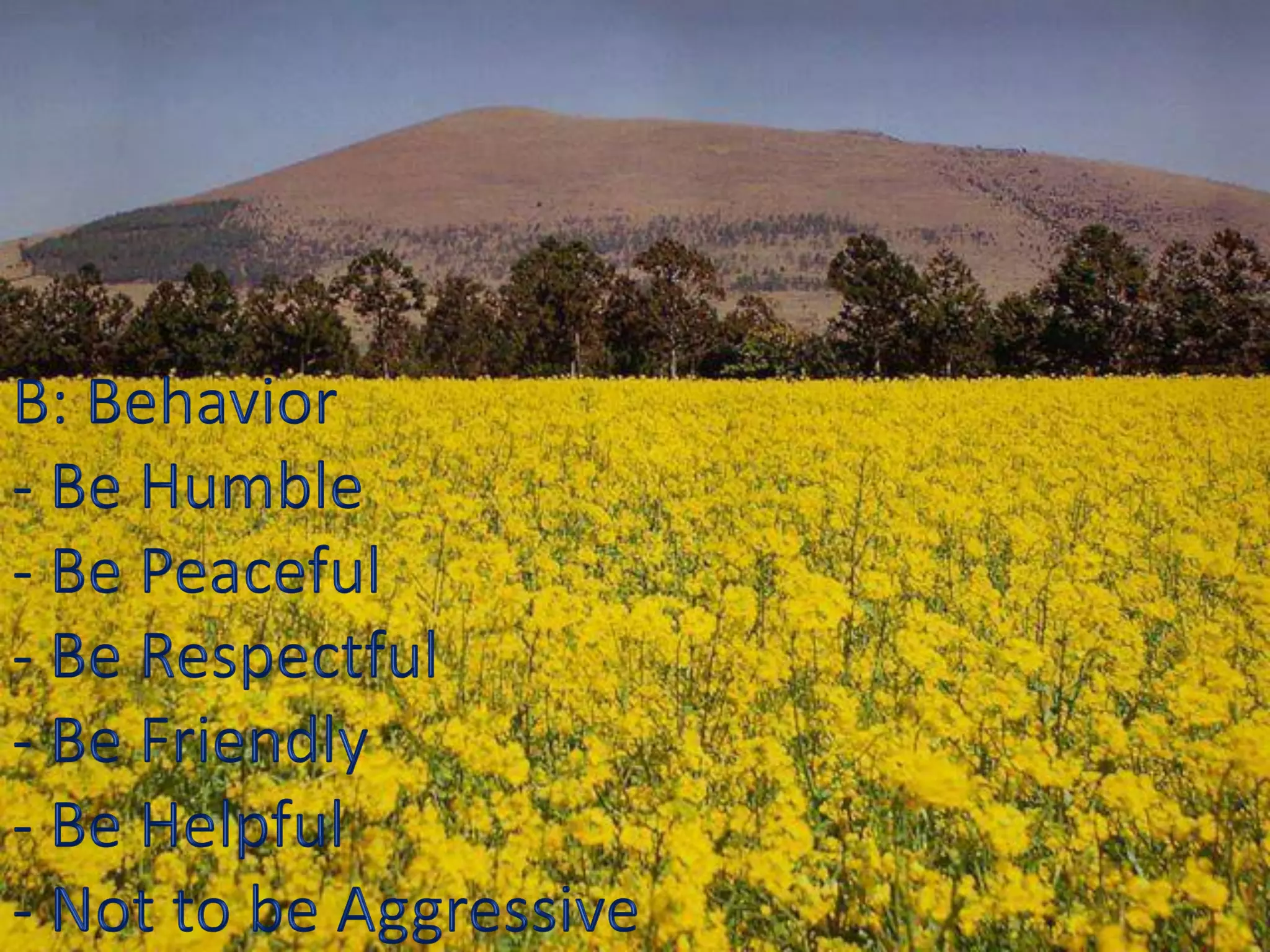 SUCCESSFUL PRINCIPLE OF COMMUNICATION | PDF