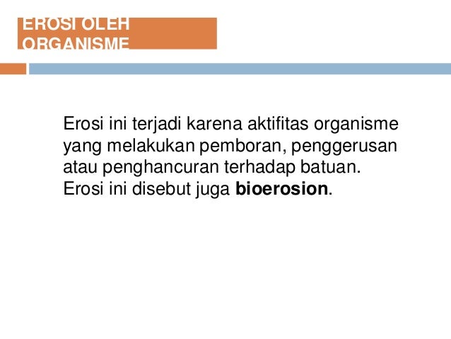 Erosi Erosi